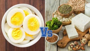 Beyond the Egg: 20 Vegetarian Foods Packed With More Protein