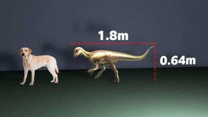 Scientists Unearth Dog-Sized Dinosaur Species That Lived Alongside Giants