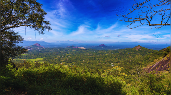 The Lakkidi Gateway, haunted by the spirit of Karinthandan.
