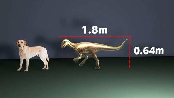 Illustration of a dog-sized dinosaur next to a larger dinosaur.