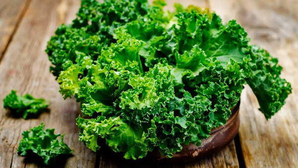 Vibrant kale leaves, packed with antioxidants