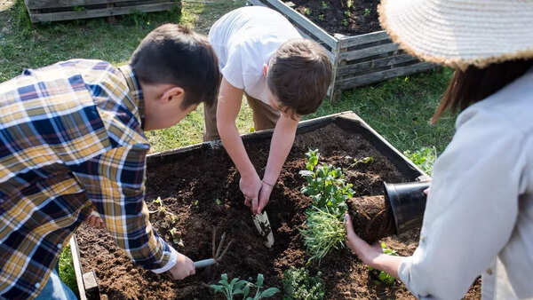 Preparing soil for planting