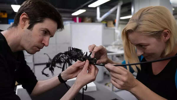 Paleontologist examining dinosaur fossil.