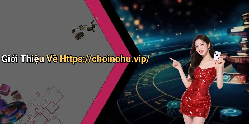 Giới Thiệu Về Https://choinohu.vip/