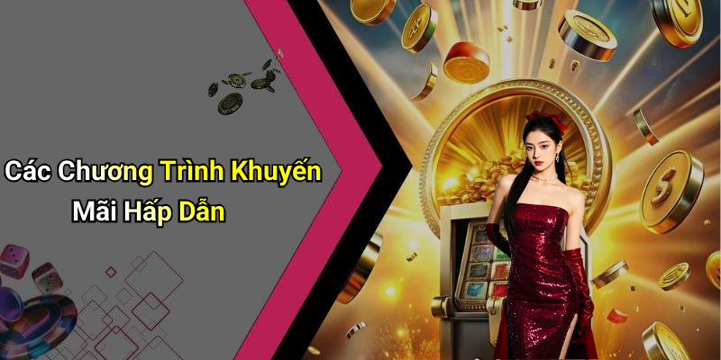 Các Chương Trình Khuyến Mãi Hấp Dẫn